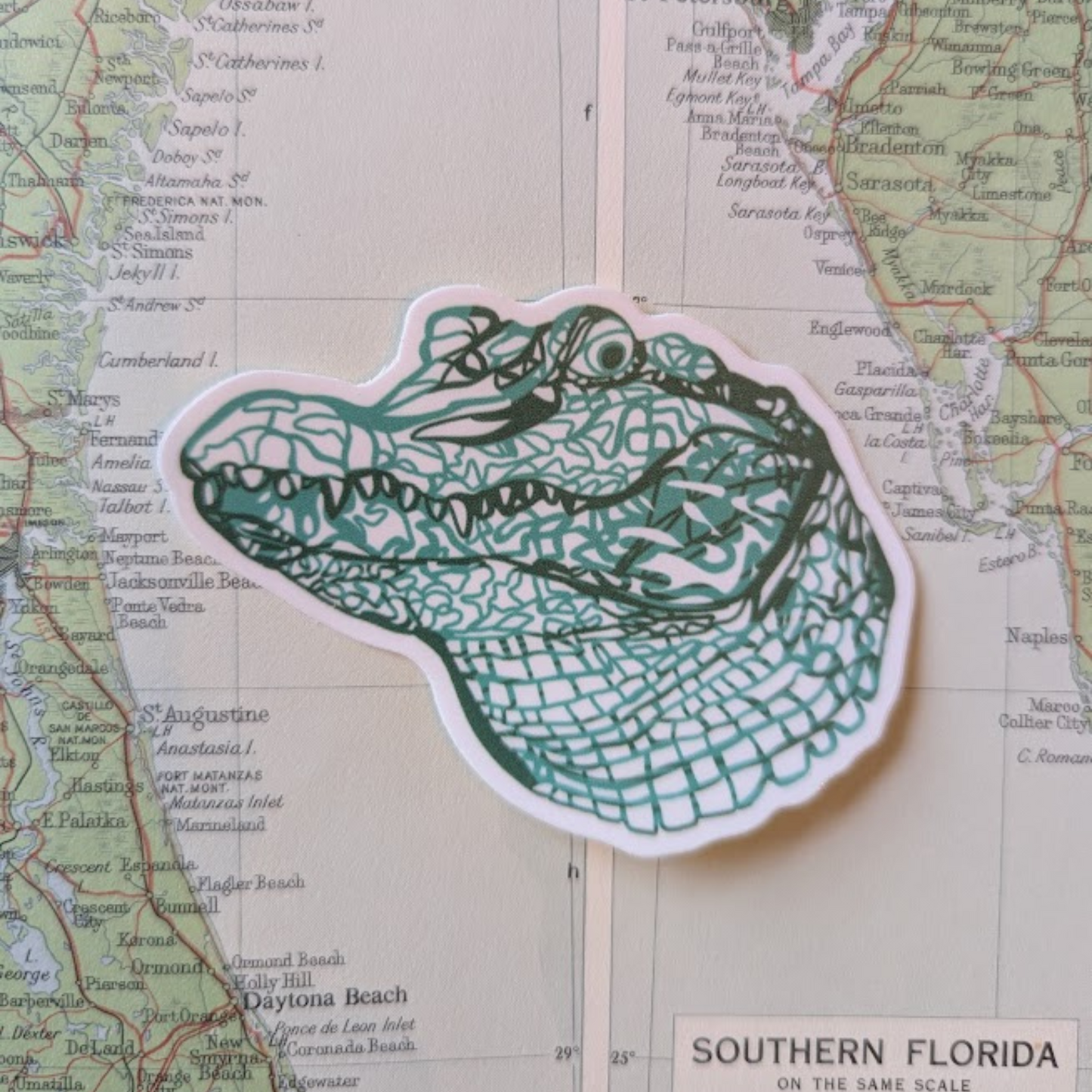 Weatherproof Alligator Vinyl Sticker – Hand-Drawn Florida Swamp Gator Decal for Water Bottles, Laptops & Cars